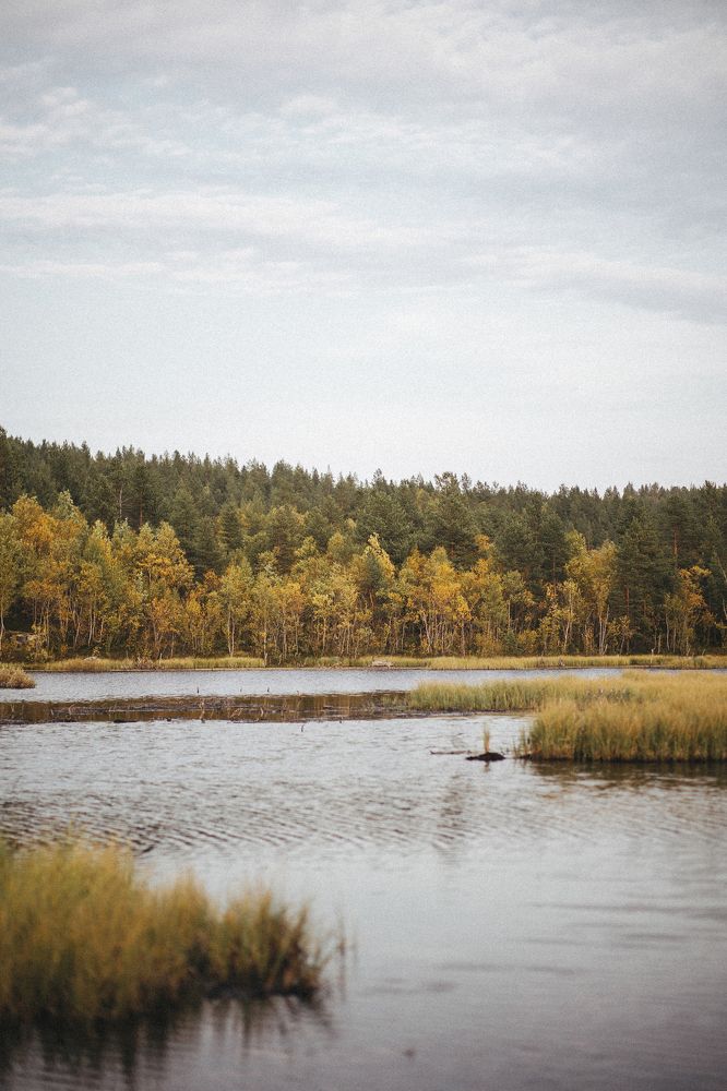 Фотография автора Yulia Babushkina