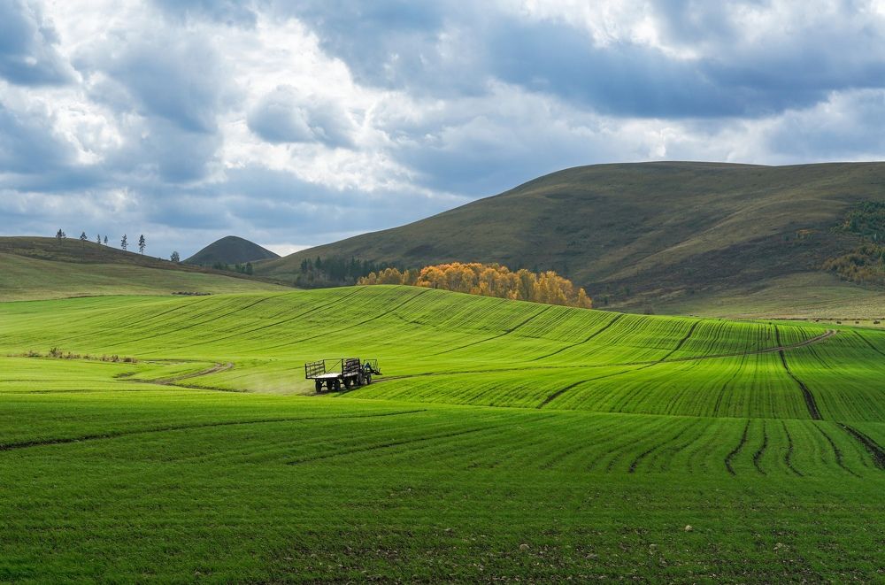 Photograph by Андрей Черкасов