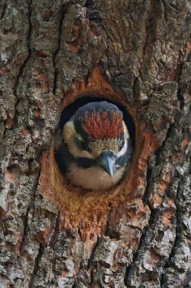 Photograph by Александр Шандов