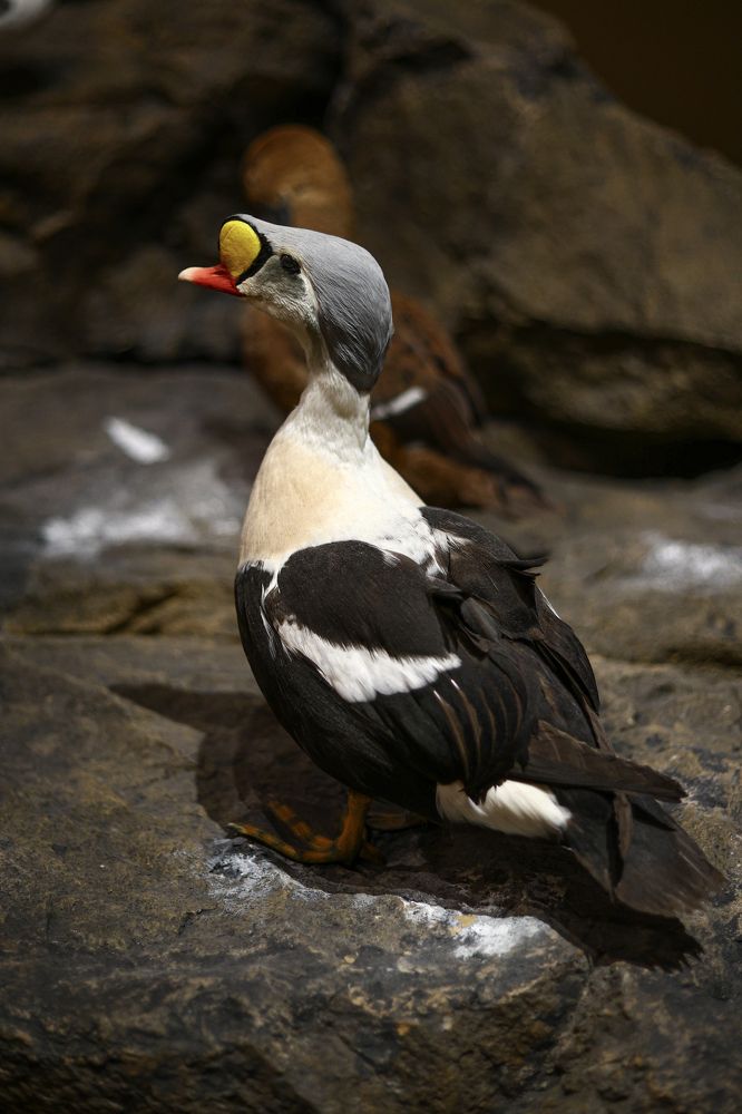 Photograph by Наталья Малышева