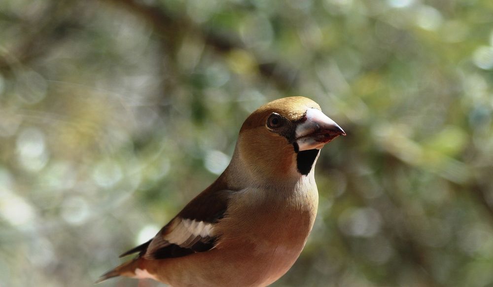 Photograph by Nadzeya