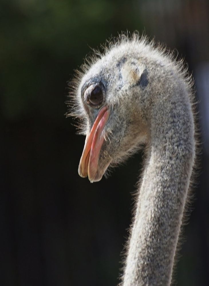 Photograph by Леонид Владимирович