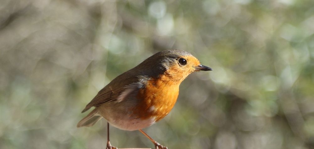 Photograph by Nadzeya