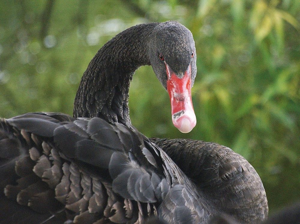 Photograph by Леонид Владимирович