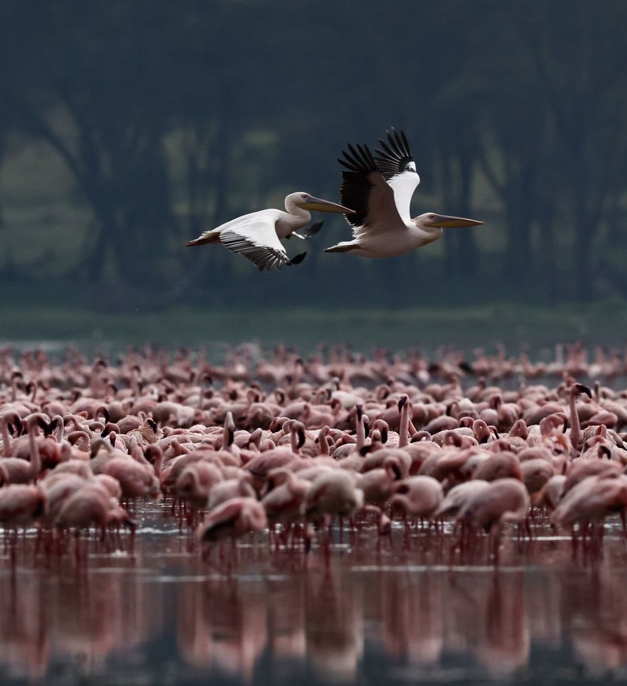 Photograph by Леонид Голубков