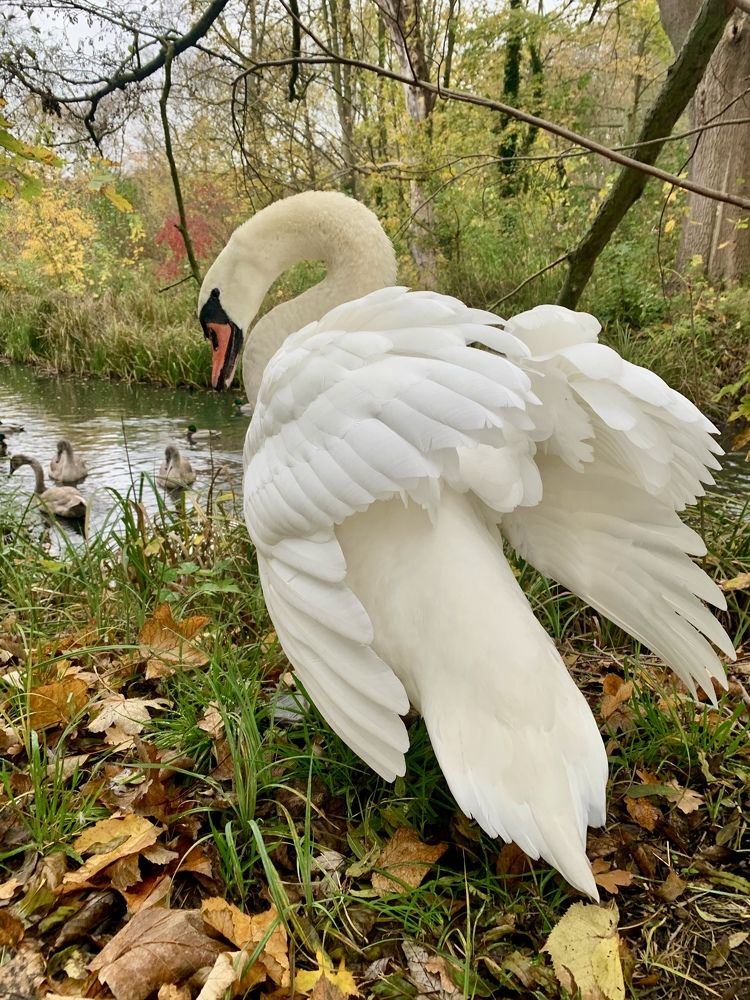 Photograph by Александр Чернега