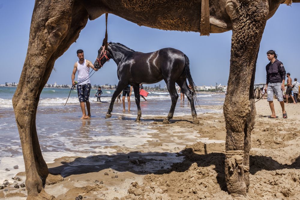 Photograph by Pere Arnaldo