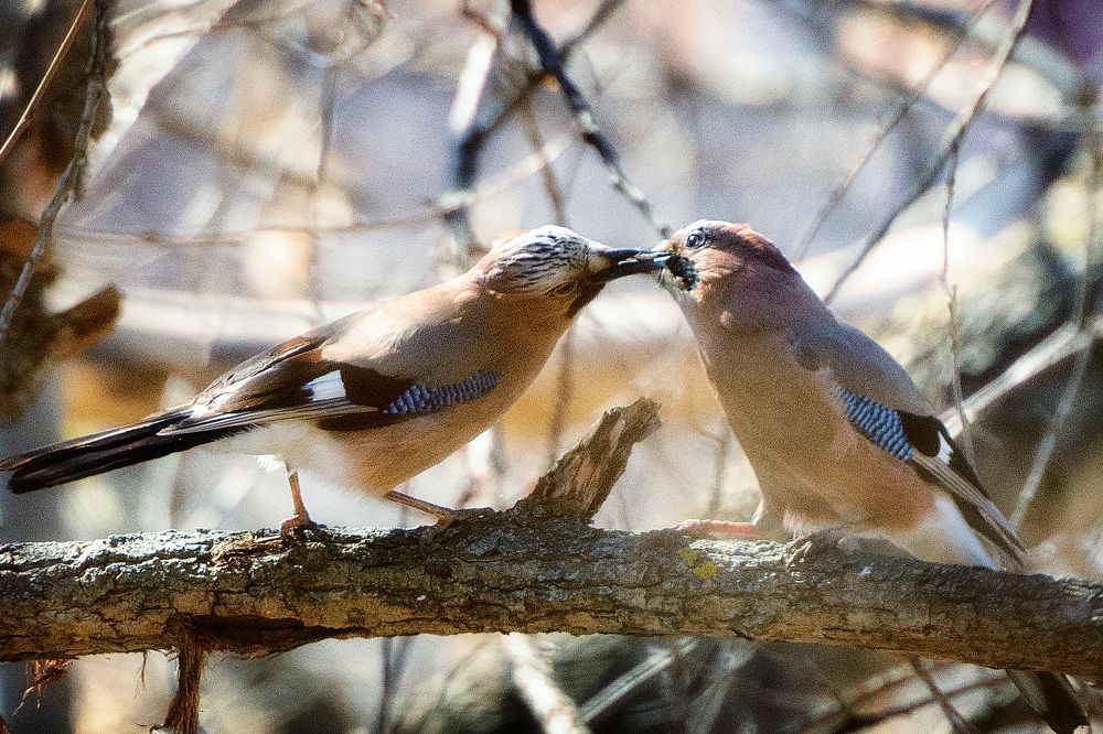 Photograph by Александр Остроумов