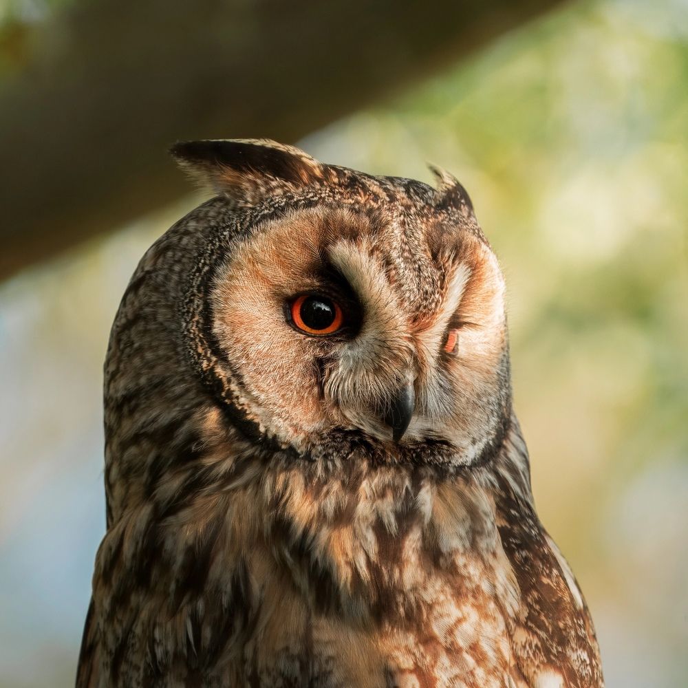 Фотография автора Владимир Коровяковский