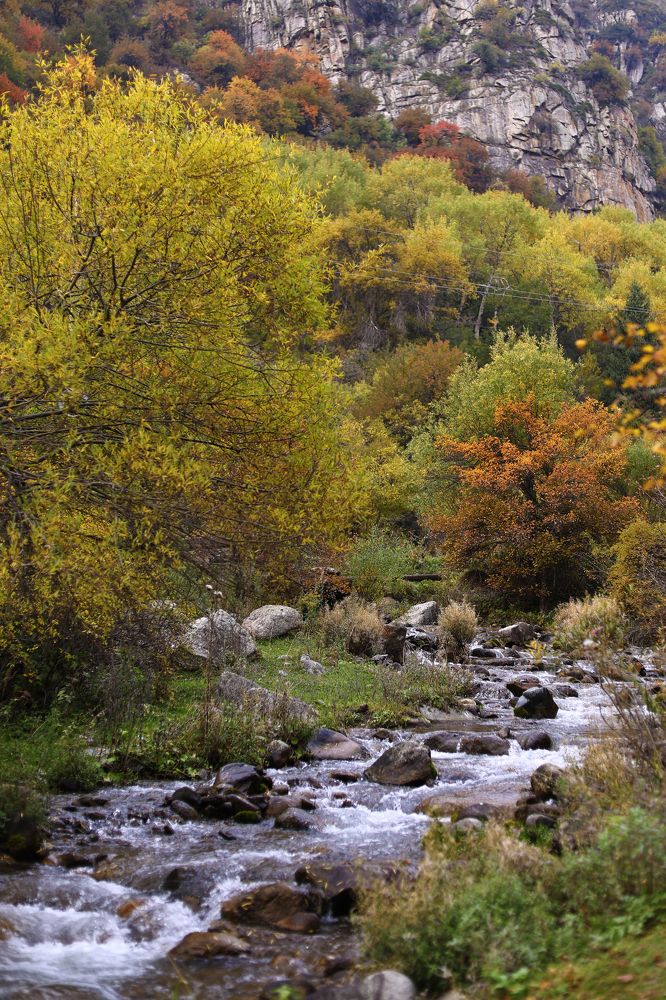 Photograph by Наталья Малышева