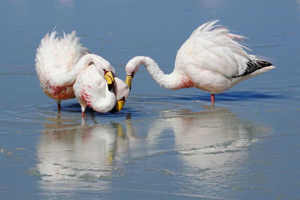 Photograph by Anna Perevozchikova