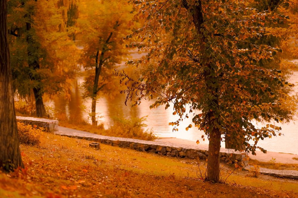 Photograph by Людмила Колесниченко