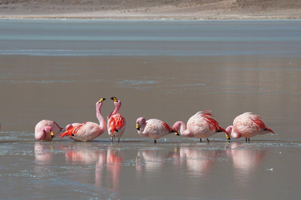 Photograph by Anna Perevozchikova