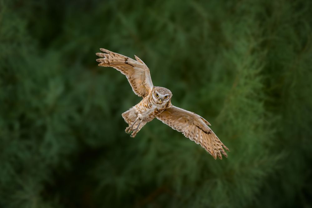 Photograph by Eliud Gil Samaniego