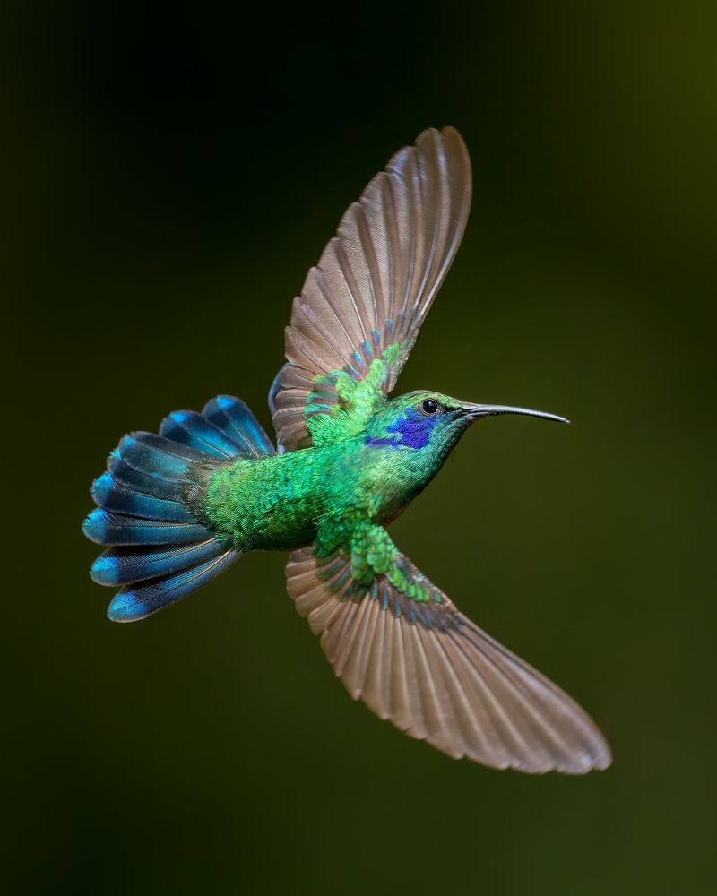 Photograph by Eliud Gil Samaniego