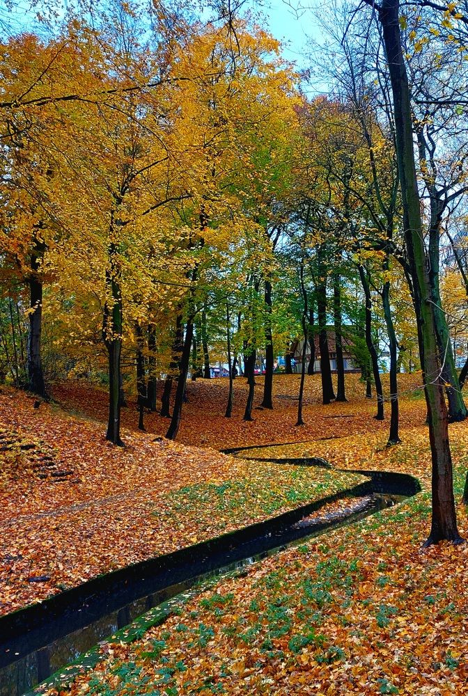 Photograph by Дина Темницкая