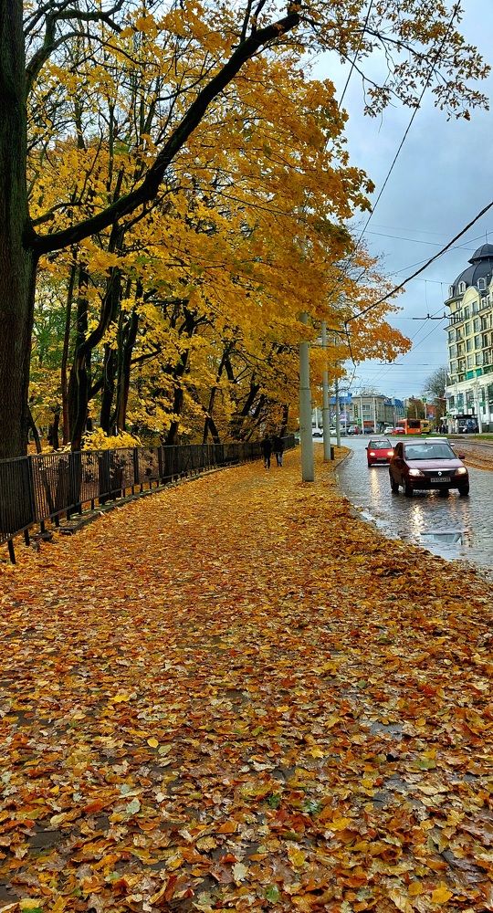 Photograph by Дина Темницкая