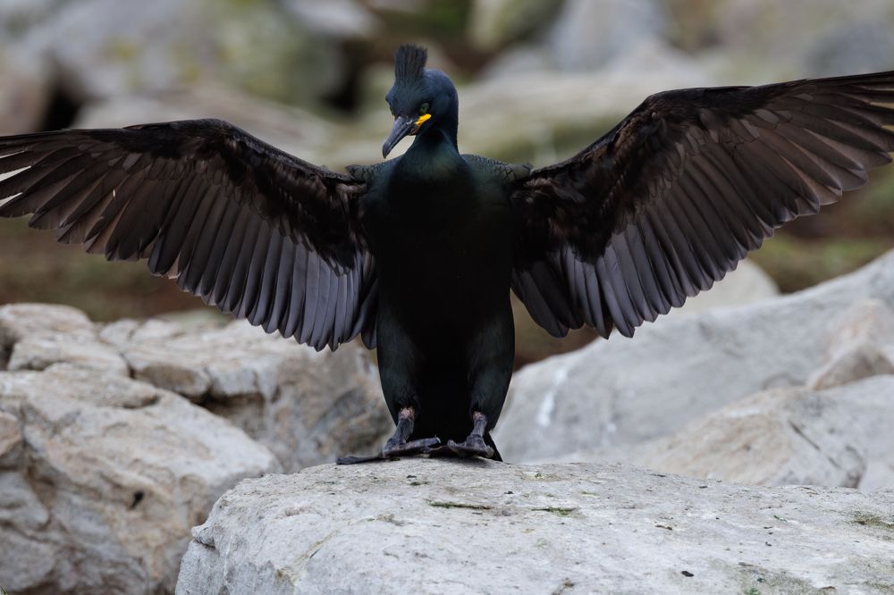 Photograph by Valentin Kolinko