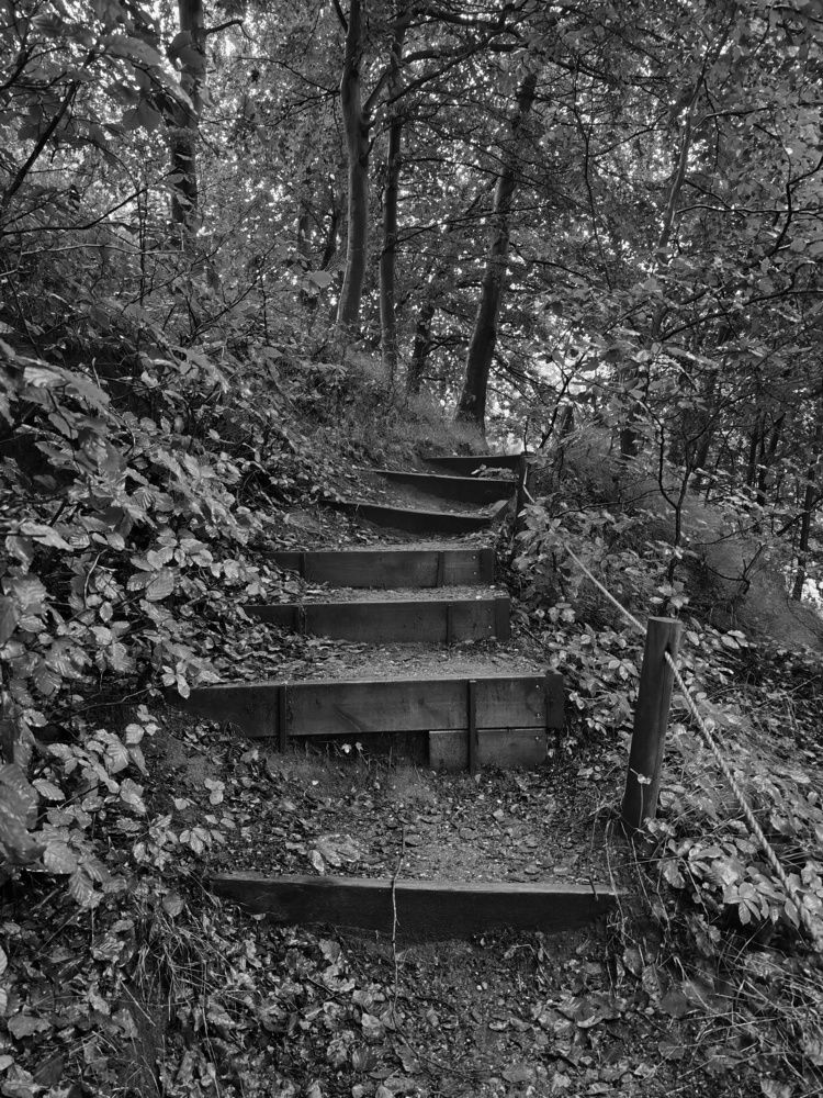 Photograph by Natalia Sopoćko