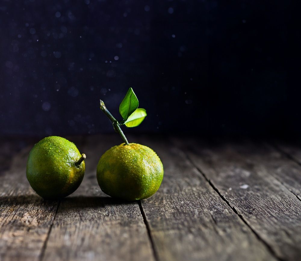 Photograph by Negah_ Photography_