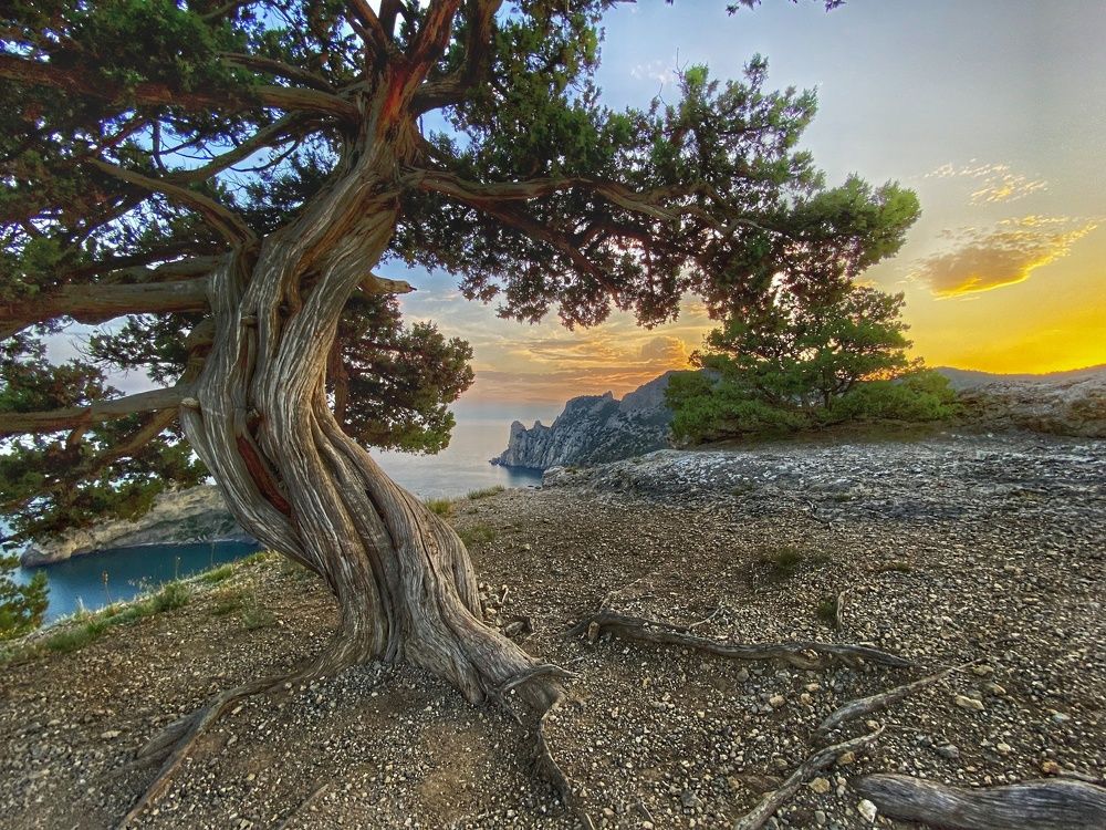 Photograph by Вадим Качанов