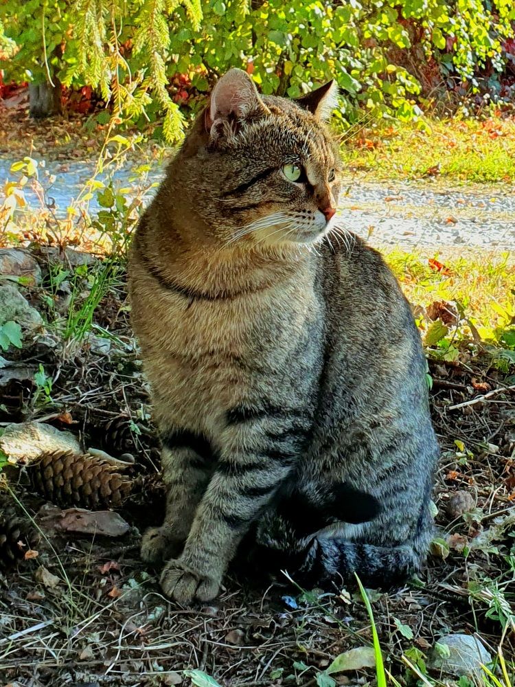 Photograph by Яна Галимуллина