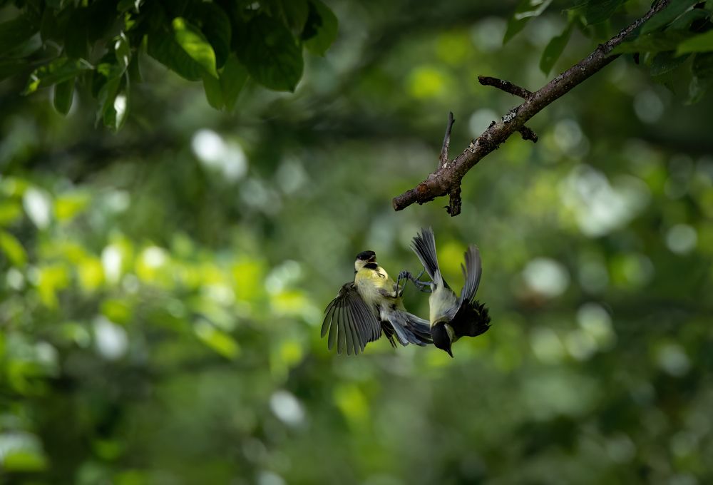 Photograph by Галина Павлова