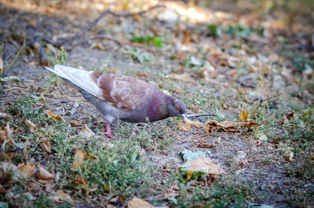 Photograph by Mishel Photographer