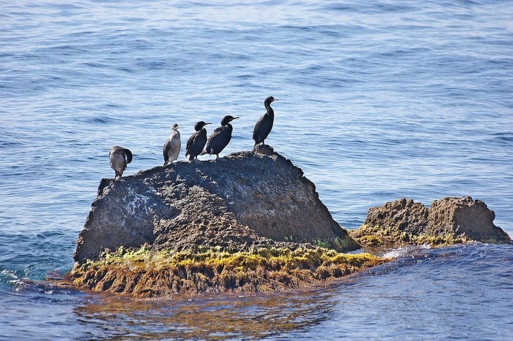 Photograph by Леонид Владимирович