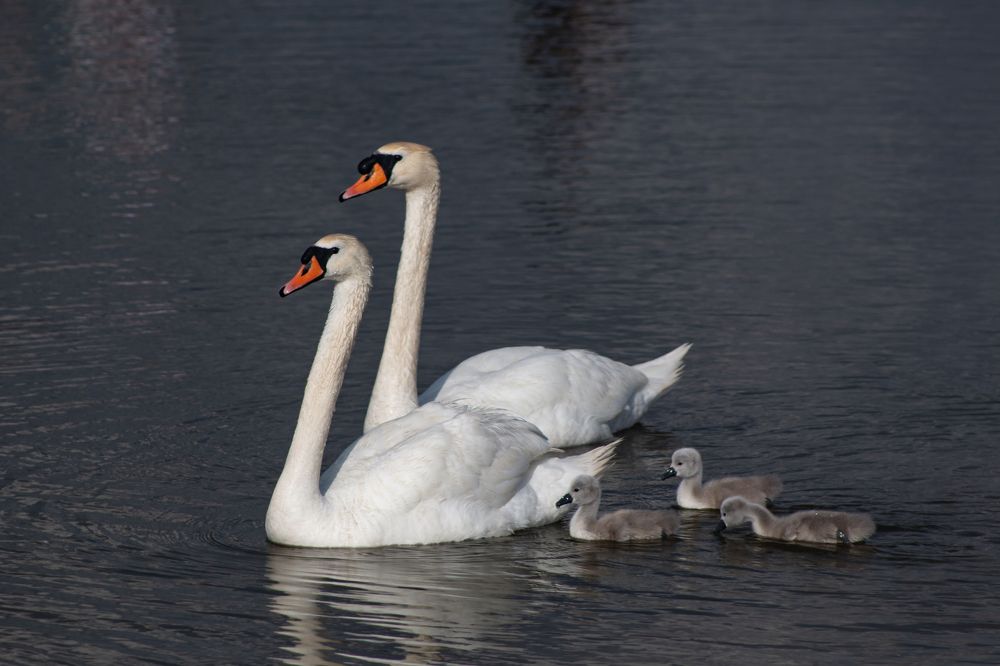 Photograph by Степан Конев