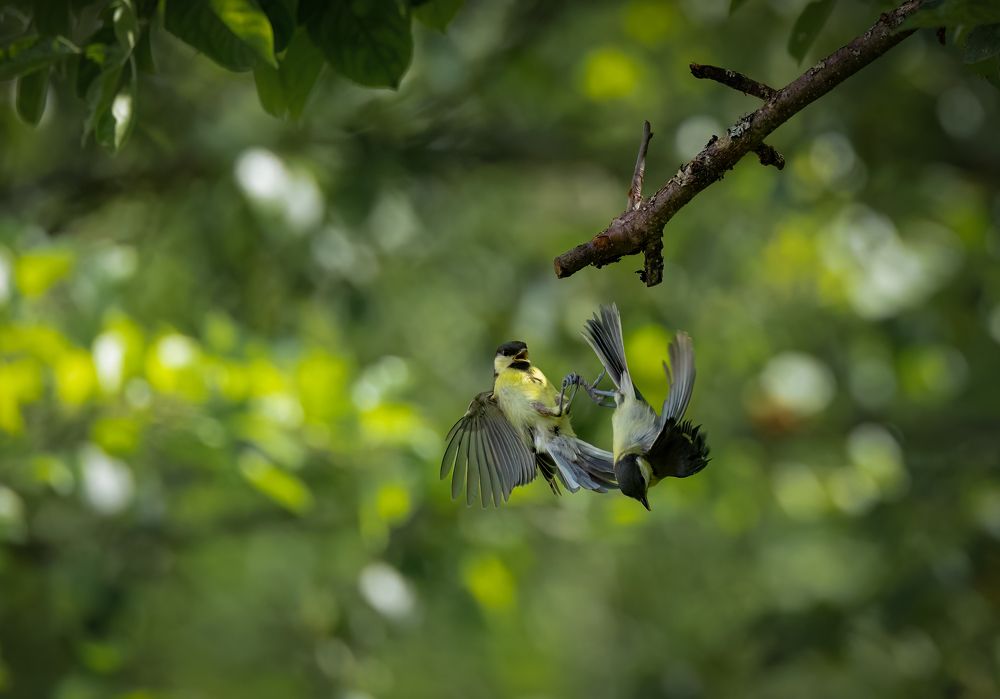 Photograph by Галина Павлова