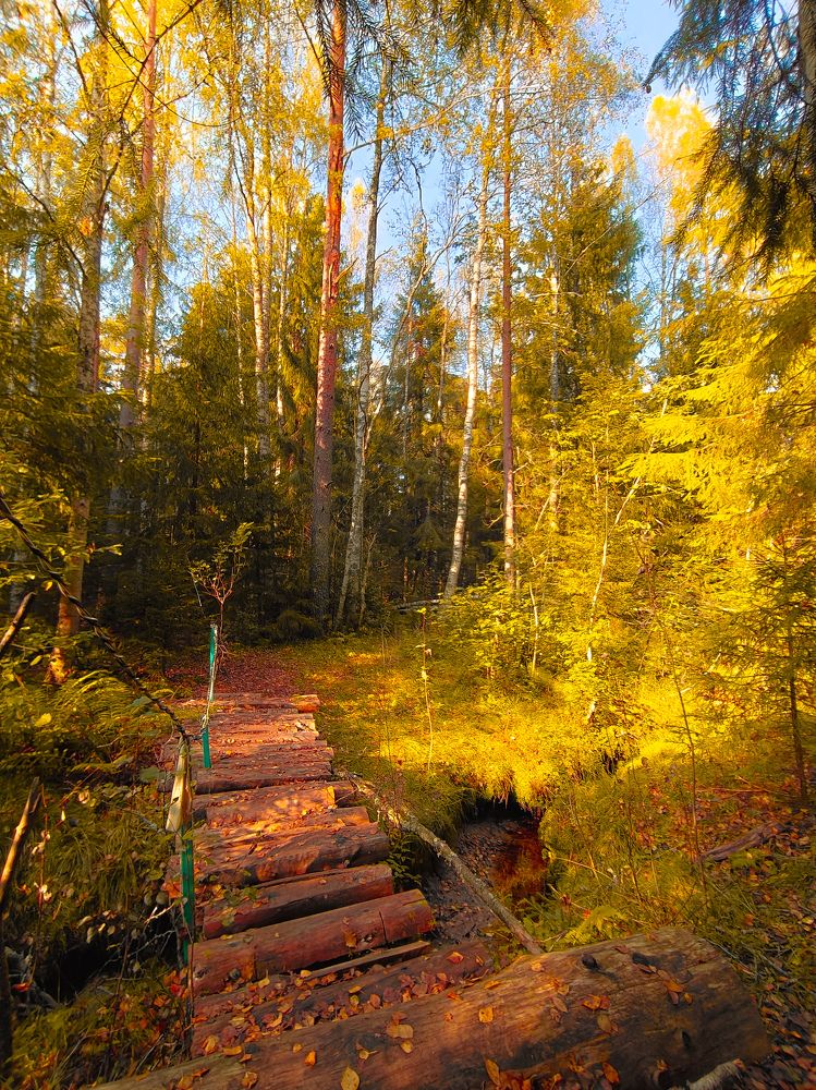 Photograph by Дмитрий Малышев