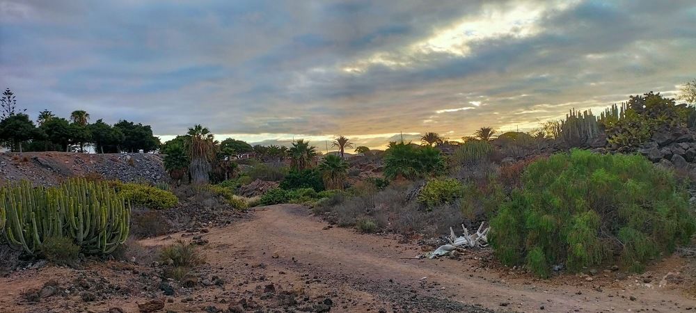 Photograph by Katiaponzini