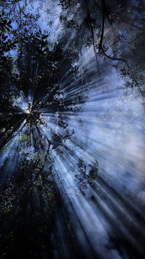 Photograph by Amir Hosein Shokrabadi