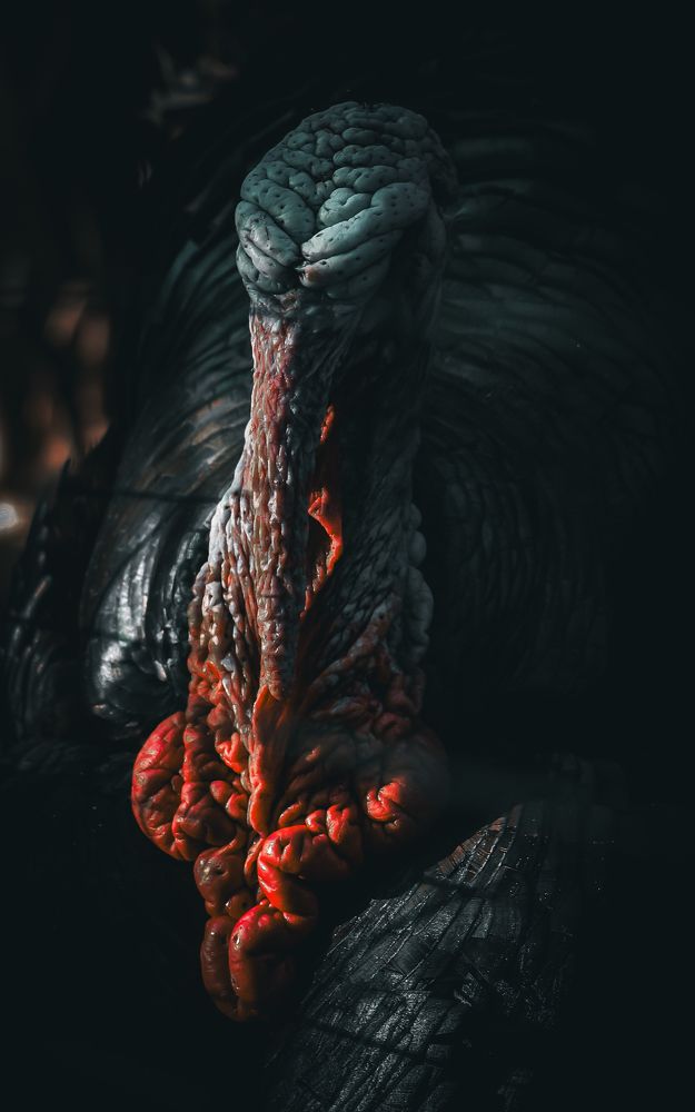 Photograph by Михаил Зубков