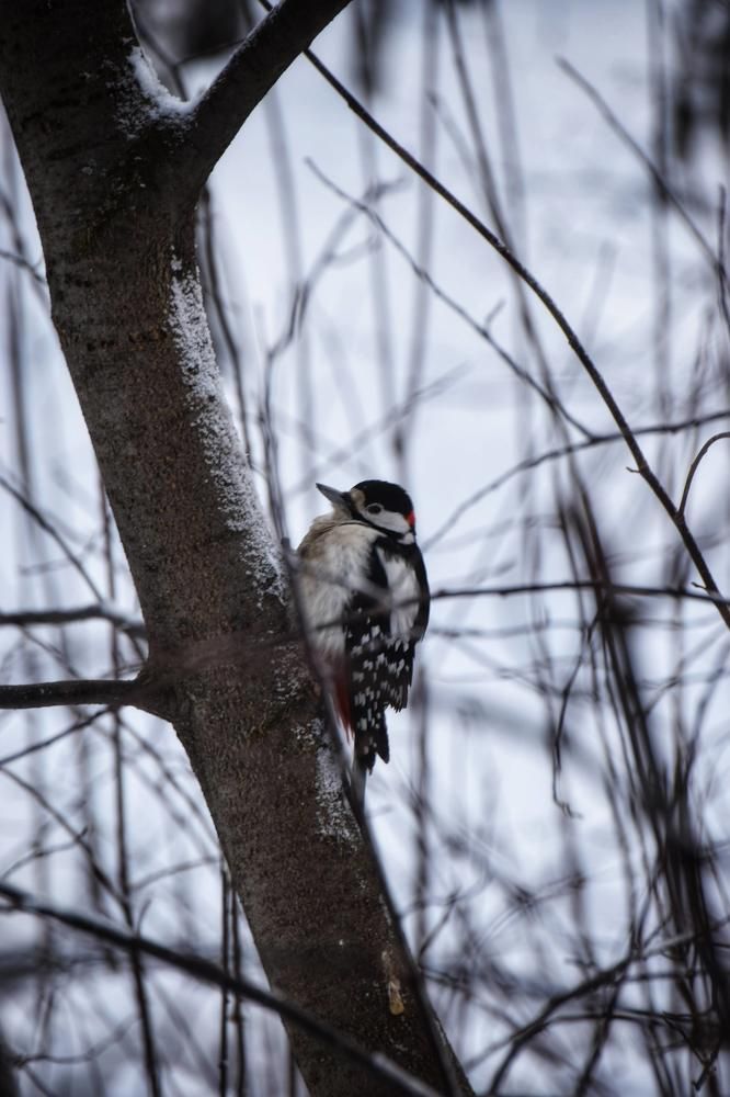 Photograph by Митюшкова Алёна