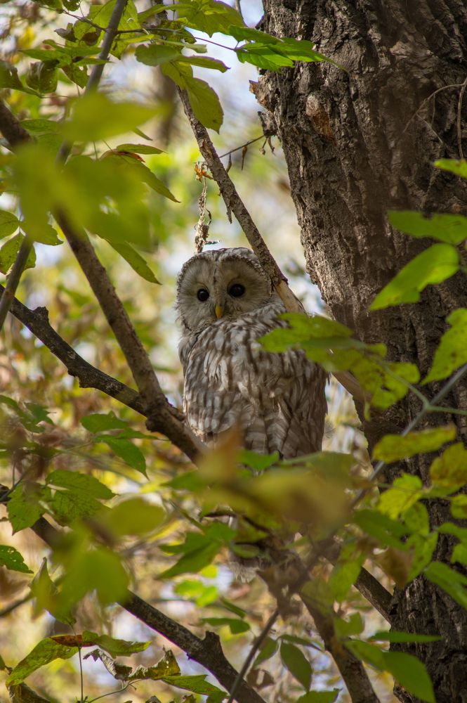 Photograph by Михаил Мостовой