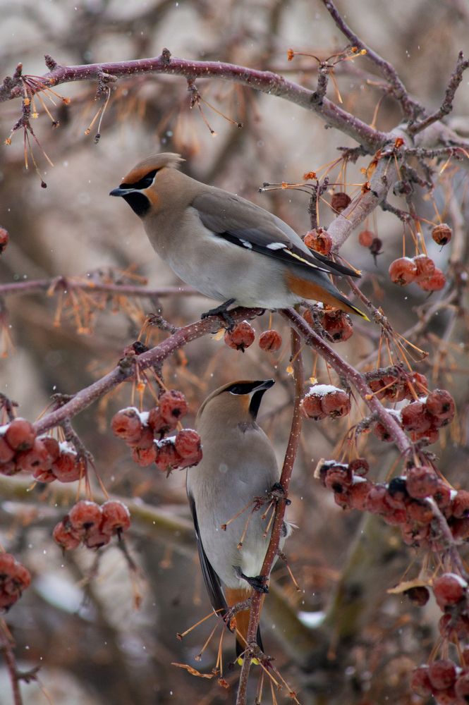 Photograph by Михаил Мостовой