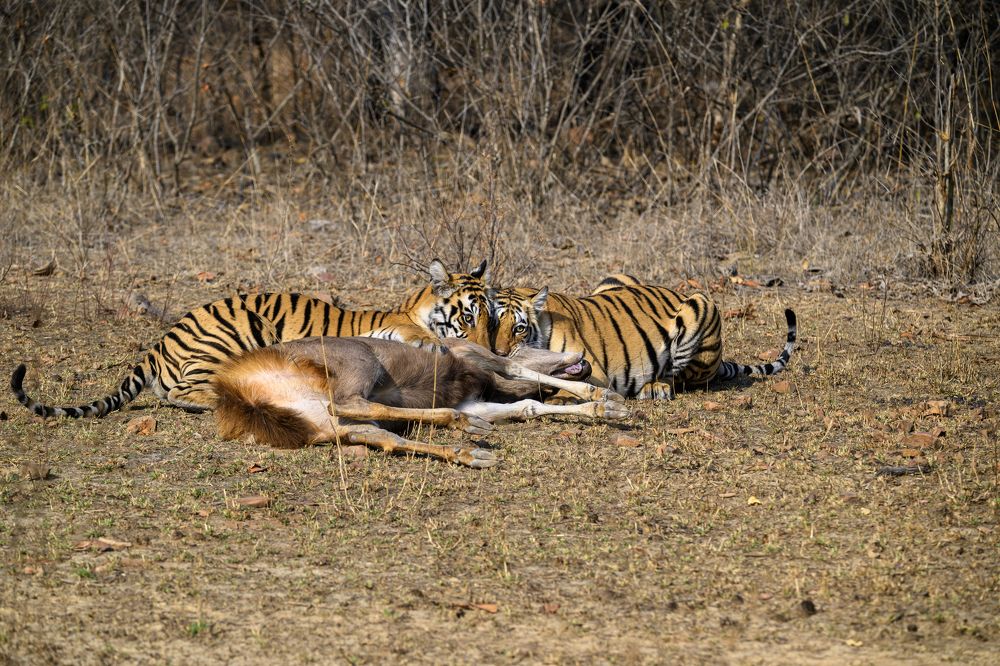 Photograph by SAMIR KUMAR SAMANTA