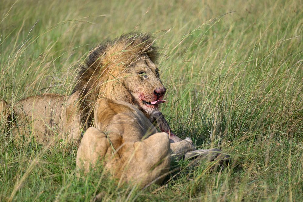 Photograph by SAMIR KUMAR SAMANTA