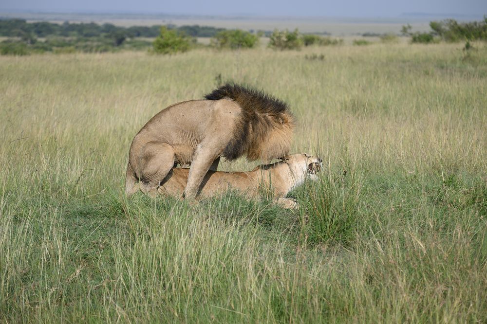 Photograph by SAMIR KUMAR SAMANTA