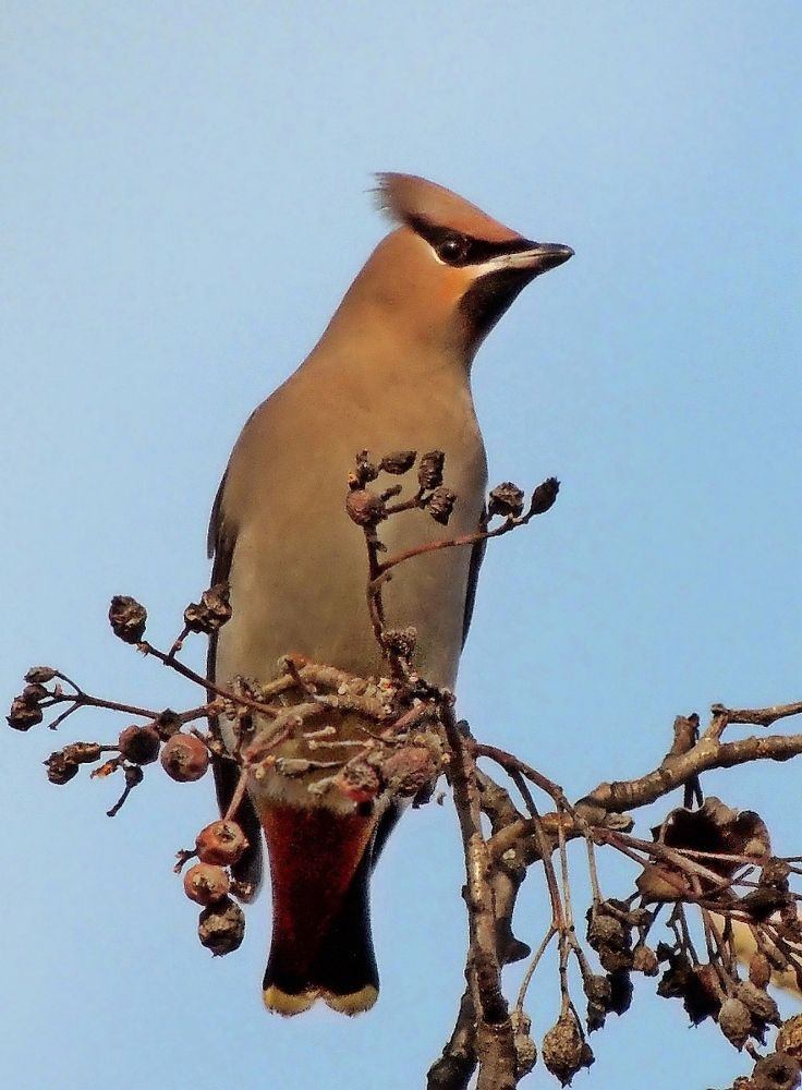 Фотография автора Роман Савоцкий