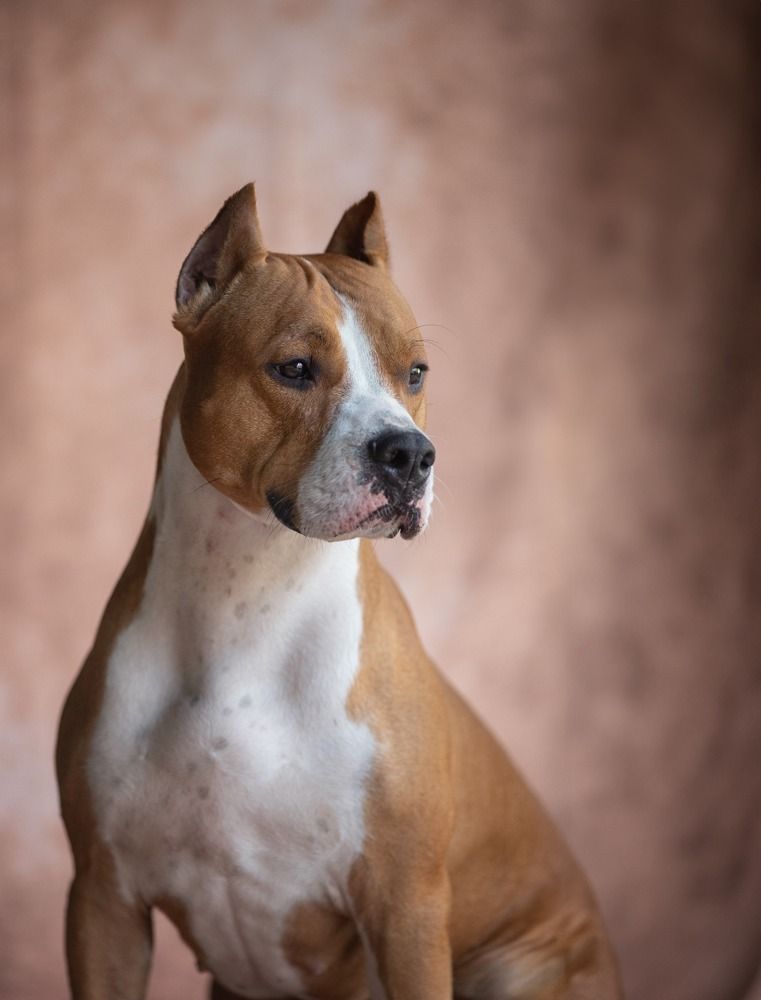 Фотография автора Карина Сагитова