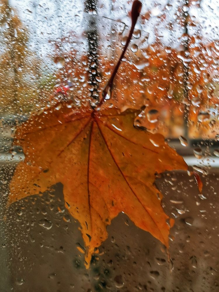 Photograph by Irina Luidinshina