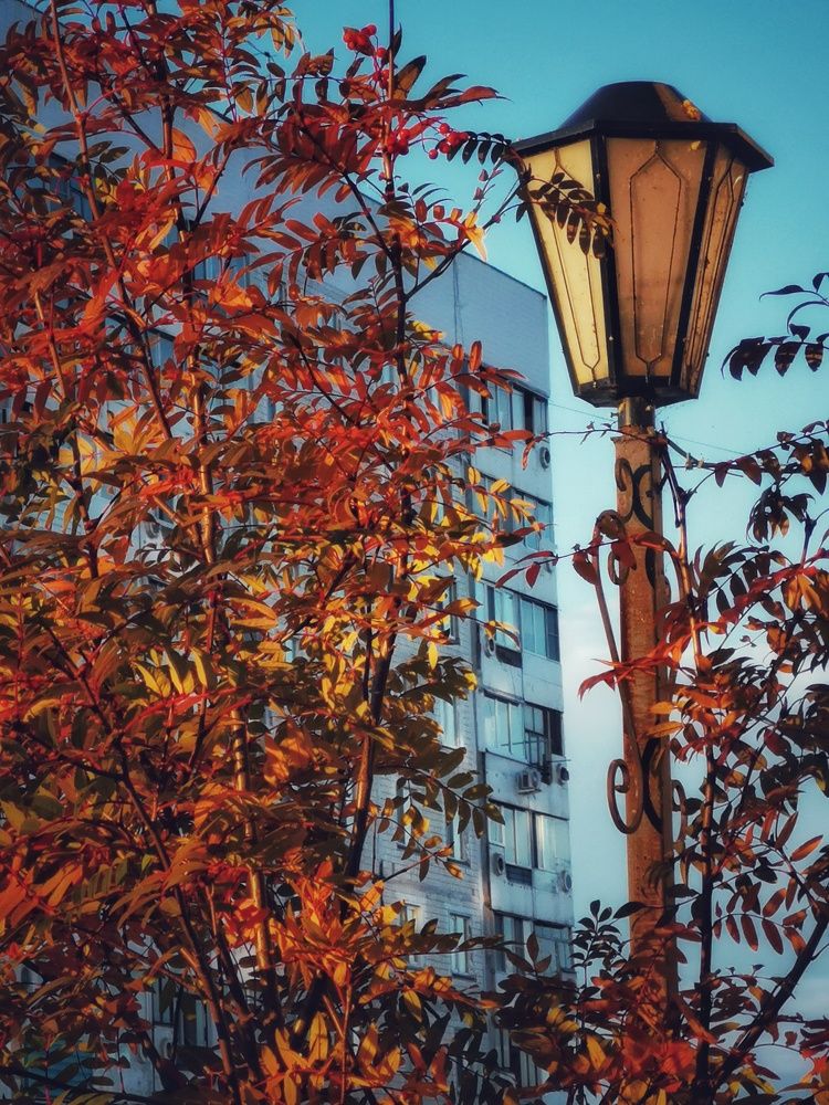 Photograph by Irina Luidinshina