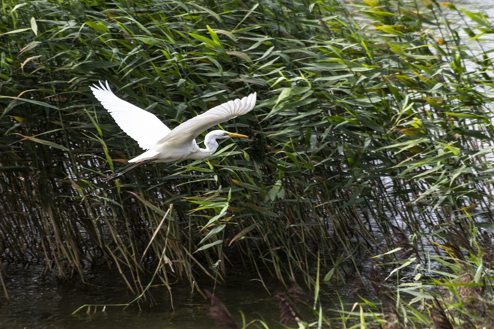 Photograph by Дмитрий Потапов