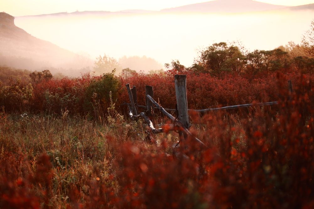 Photograph by Крематорин Артур