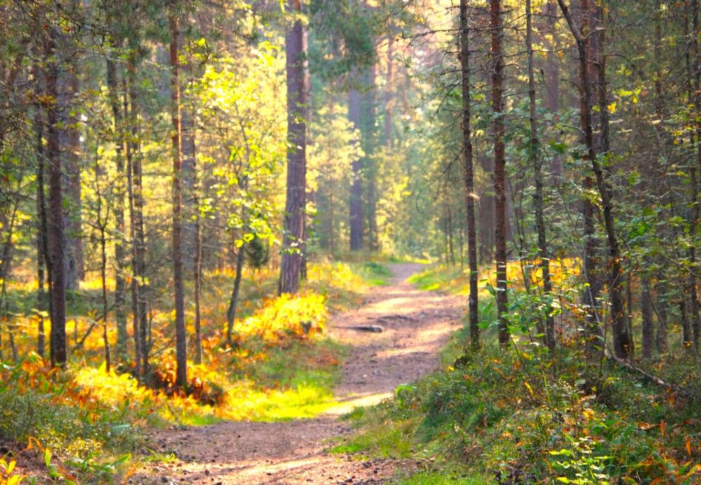 Photograph by Anna Baykova