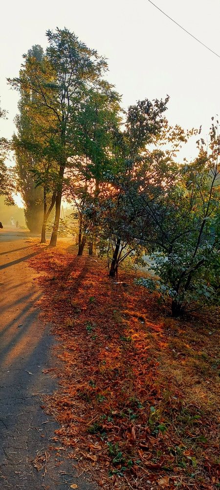 Фотография автора Марина Новикова