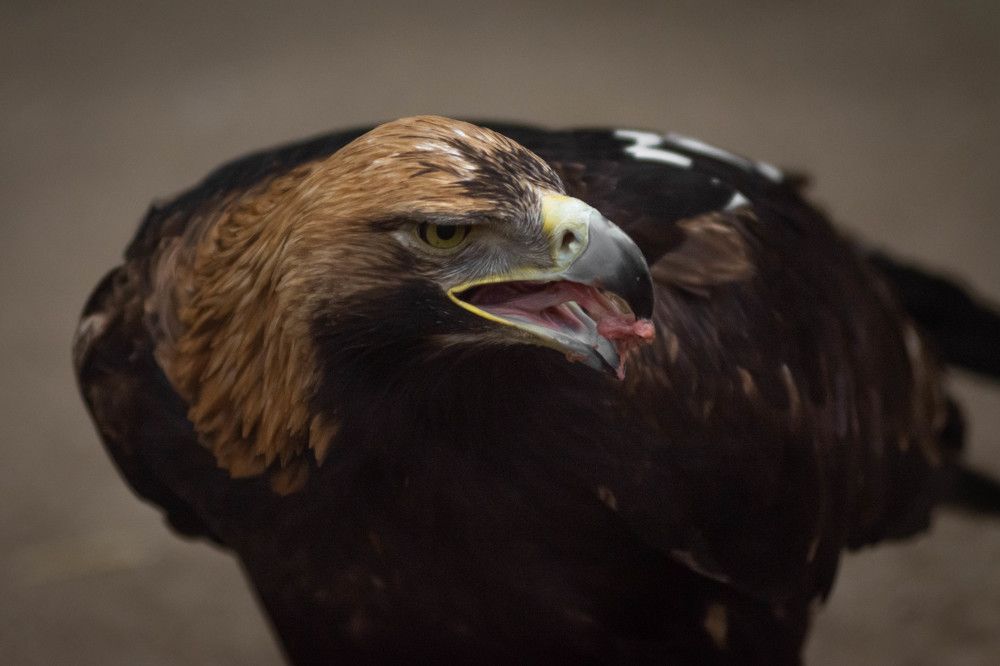 Photograph by Олег Бережных